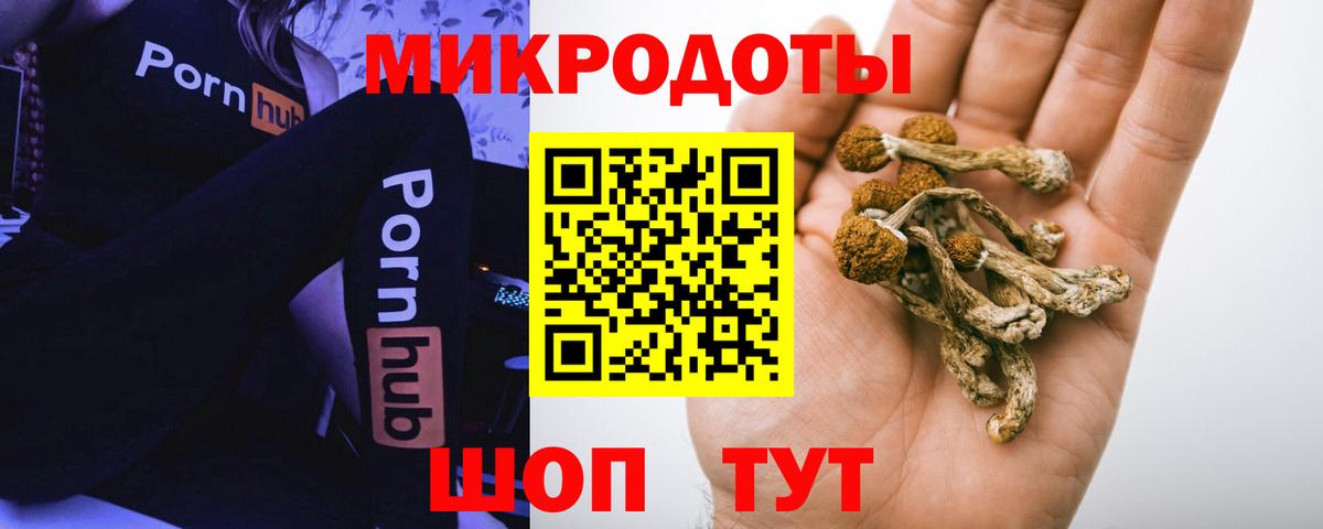 Бердск  Галлюциногенные грибы мицелий  Галлюциногенные грибы Cubensis  Вход с VPN 
